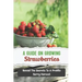 A Guide On Growing Strawberries: Reveal The Secrets To A Prolific Berry Harvest