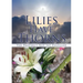 Lilies Have Thorns
