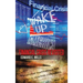 Wake up America: Financial Crisis Revisited