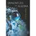 Dragonflies and Algebra