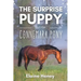 The Surprise Puppy and the Connemara Pony - The Coral Cove Horses Series