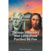 Thomas Jefferson's "Wee Little Book" Purified by Fire