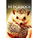 Hedge Hogs - Curious Kids Press: Kids book about animals and wildlife, Children's books 4-6