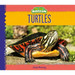 Turtles