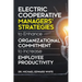 Electric Cooperative Managers' Strategies to Enhance Organizational Commitment to Increase Employee Productivity