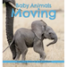 Baby Animals Moving