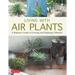 Living with Air Plants: A Beginner's Guide to Growing and Displaying Tillandsia