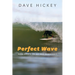 Perfect Wave: More Essays on Art and Democracy