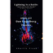Lightning In a Bottle: A Book Series On the Most Important Rock Albums In Music History Album # 42 Dan Fogelberg Phoenix