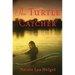 The Turtle Catcher