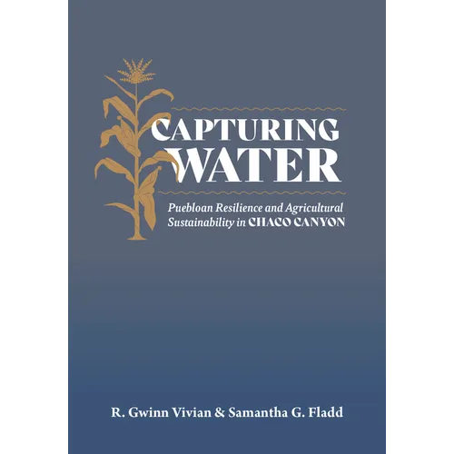 Capturing Water: Puebloan Resilience and Agricultural Sustainability in Chaco Canyon