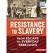 Resistance to Slavery: From Escape to Everyday Rebellion