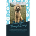 From God, Through Daisy: A Thirty-Day Devotional to Grow Your Awareness of God's Presence in Simple, Everyday Moments
