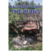 Salvaged from the Ruins: A Novel of 1945