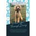 From God, Through Daisy: A Thirty-Day Devotional to Grow Your Awareness of God's Presence in Simple, Everyday Moments