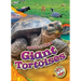 Giant Tortoises