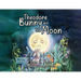 Theodore Bunny and The Moon