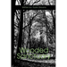 Wooded Sanctuary