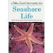 Seashore Life