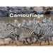 Camouflage