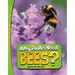Why Do We Need Bees?