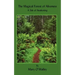 The Magical Forest of Aliveness: A Tale of Awakening