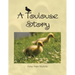A Toulouse Story