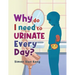 Why Do I Need To Urinate Every Day?