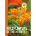 Wildflowers of the Midwest