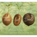 Three Lost Seeds: Stories of Becoming