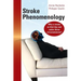 Stroke Phenomenology: Why a stroke on that day and under these circumstances?