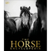 The Horse Encyclopedia