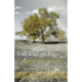 Still Full of Sap: Reflections On Growing Older