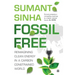 Fossil Free: Reimagining Clean Energy in a Carbon-Constrained World