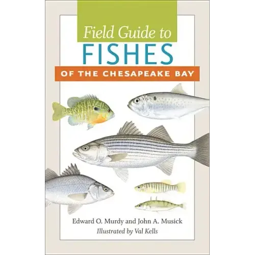 Field Guide to Fishes of the Chesapeake Bay