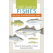 Field Guide to Fishes of the Chesapeake Bay