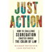 Just Action: How to Challenge Segregation Enacted Under the Color of Law