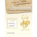 Studying Rambam. A Companion Volume to the Mishneh Torah.: Comprehensive Summary Volume 5.