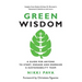 Green Wisdom: A Guide for Anyone to Start, Engage and Energize a Sustainability Team