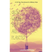 Grow Where You Are Planted: A 30 Day Devotional for Military Kids
