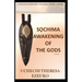 SỌchima Awakening of the Gods