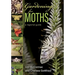 Gardening for Moths: A Regional Guide