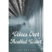 Voices Over Troubled Water