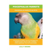 Poicephalus Parrots: Poicephalus Parrots As Pets