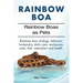 Rainbow Boa. Rainbow Boas as Pets. Rainbow boa, biology, behavior, husbandry, daily care, enclosures, costs, diet, interaction and health.