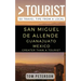 Greater Than a tourist San Miguel de Allende Guanajuato Mexico: 50 Travel Tips from a Local