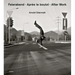 Arnold Odermatt: After Work