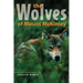 The Wolves of Mount McKinley