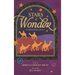 Stars of Wonder: A Children's Christmas Adventure