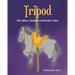 Tripod: The Small Shabby Carousel Pony